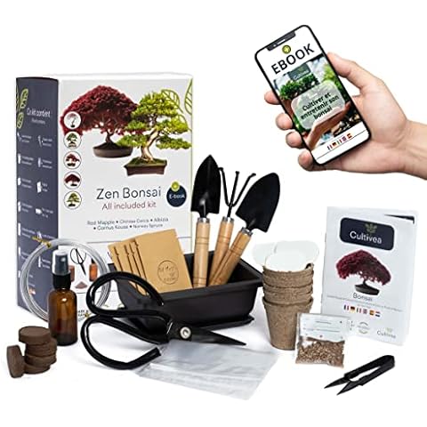 Kit Bonsaï Premium Cultivea thumbnail