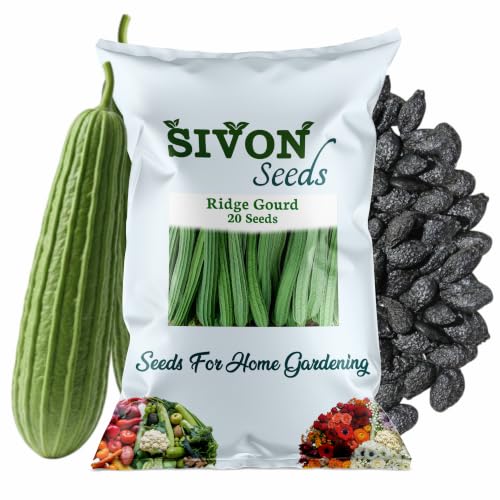 Image of SIVON Ridge Gourd (Turai) (20 Seeds) Vegetable Seeds for Home Garden, Organic & Hybrid, Perfect for Home Gardening, Planting For Pots and Patio
