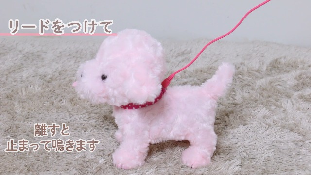 Amazon.co.jp: マザーガーデン とことこ おさんぽ プードルちゃん 茶