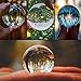 Neewer 150mm/5.9inch Clear Crystal Ball Globe with a Crystal Stand for Feng Shui/Divination or Wedding/Home/Office Decoration