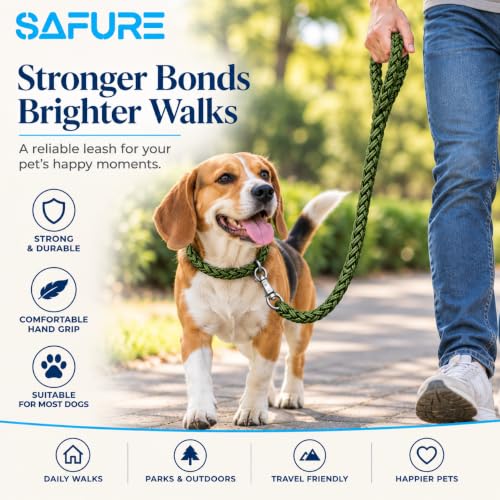 Image of Dog Leash Heavy Duty, Braided Nylon 120 cm Long and 3 cm Wide Dog Belt for Large Dogs and Medium Dogs, Walking Rope with Loop Handle and Swivel Metal Hook (Green)