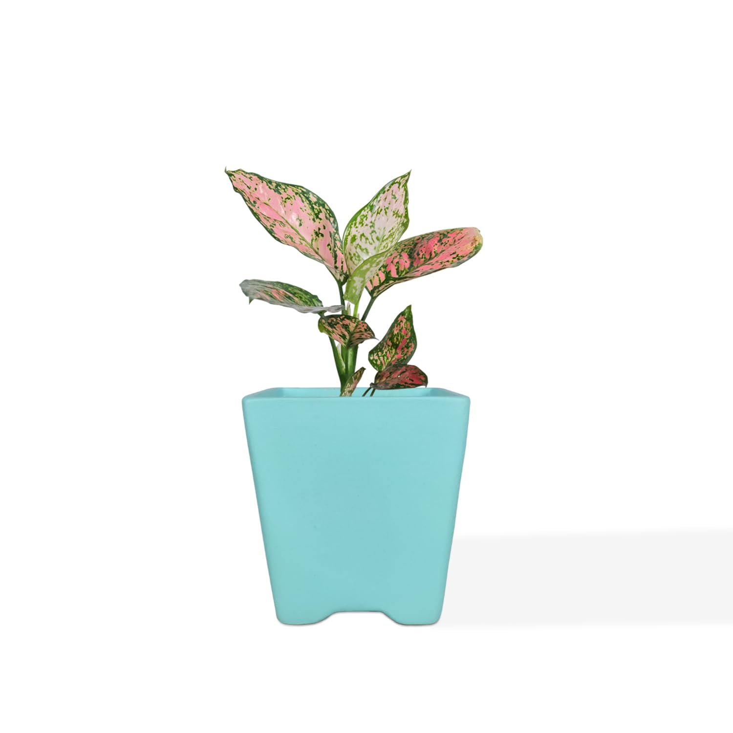 Lasaki Mini Mint Ceramic Pots - Indoor Outdoor Planters -10