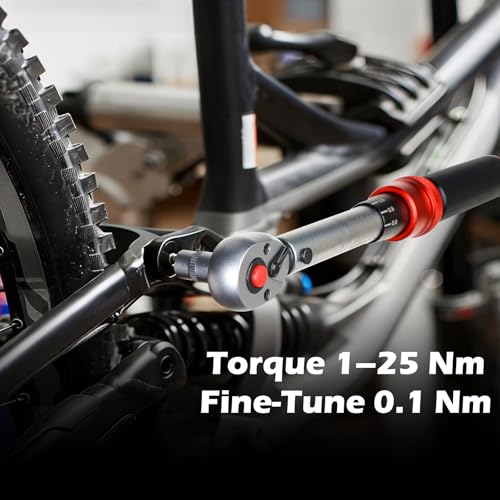 Hairich Drehmomentschlüssel Fahrrad 1/4 Zoll 1–25 Nm, ±3% Genauigkeit, 72-Zähne Ratsche, 33-teiliges Torque Wrench Set mit Verlängerung… – Ansicht 2