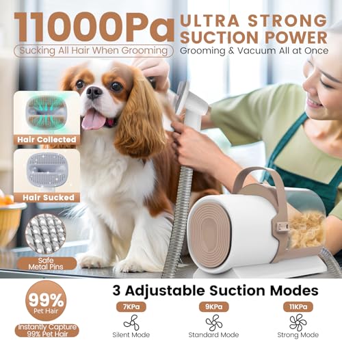 Dog Grooming Vacuum, Pet Grooming Kit, Dog Clipper Nail Trimmer Grinder, 2.5L Dust Cup 7 Grooming Tools 11000Pa Dog Vacuum for Shedding Grooming, Pet Grooming Vacuum for Dogs, Home Cleaning, PG50 Plus - Image 4