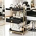 Belandi Salon Rolling Cart with Drawers, Utility Cart Esthetician Cart with 3 Shelves & Hair Dryer Holder, Mobile Spa Salon Cart for Beauty Spa（Black）