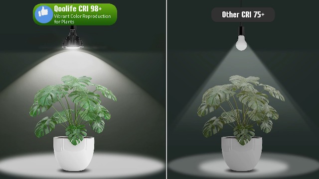 lampe bonsai Electric Wax Warmer Lamp