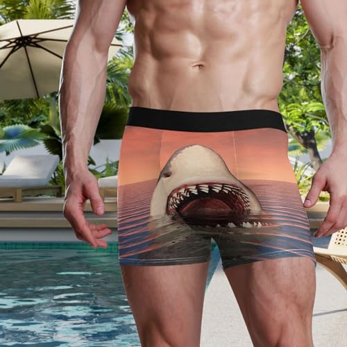 visesunny Men's Boxer Briefs Soft and Breathable Underwear with ComfortFlex Waistband Funny Pattern Underpants2