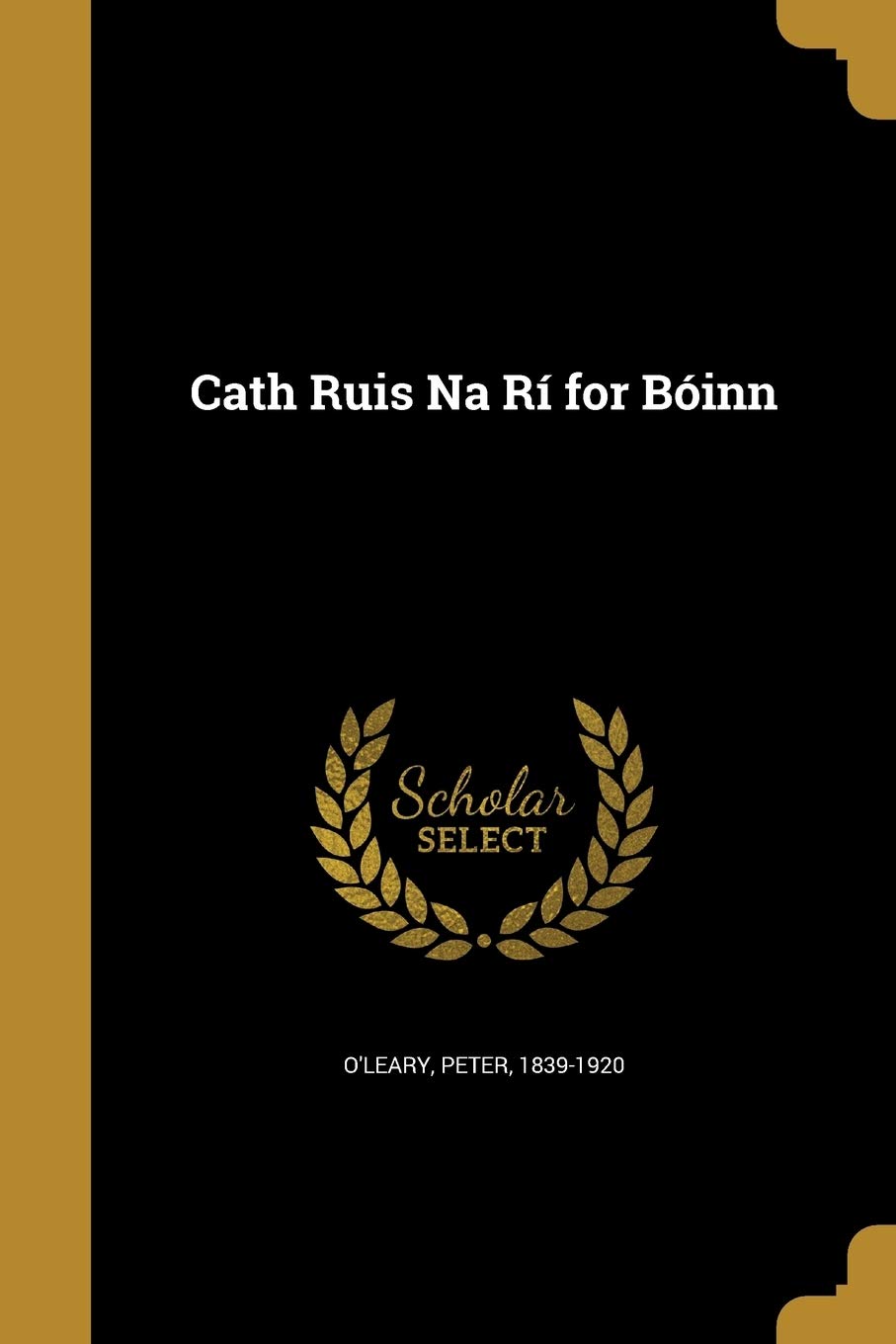 Cath Ruis Na Rí for Bóinn