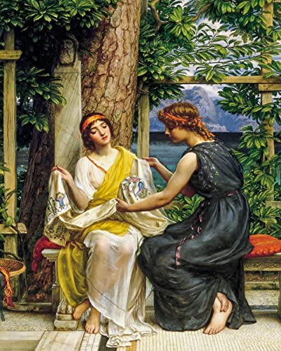 BRIHER Kit De Peinture Diamant 5d Complet, Point De Croix Diamond Painting Adulte Kit, 5D Kit de Peinture au Diamant pour Décoration Murale, Broderie Diamant Kit - Helena Et Hemia (30x40cm)