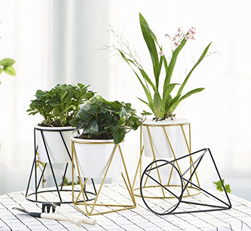 Planter Pot Indoor, Flowerplus 4.33 Inch White Ceramic Medium Succulent Cactus Flower Plant Round Bowl with Metal Stand Holder and Plants Sign for Indoors Outdoor Home Garden Kitchen Decor (Black)