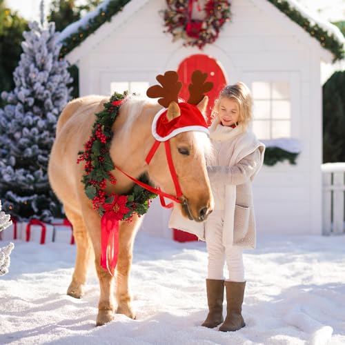 Paterr 4 peças acessório de cavalo de Natal, Papai Noel, elfo, rena, cavalo, chapéu de cavalo de fér