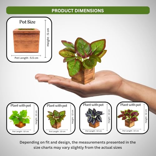 Image of DecoreBugs Artificial Leaves Potted Plants in Wooden Pot (4 Pack) Money Plant | Small Plants for Home Decor | Office Decor