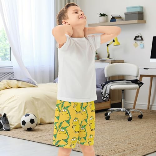 Boys Athletic Shorts with Pockets Chicken Dinosaur Running Basketball Shorts for Youth Elastic Waist Size 7-83