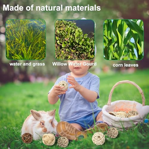 Kaubälle 8 Stück Kleintiere Kauspielzeug Hasen Kauspielzeug Kaninchen Spielzeug Kaubälle für Kleintiere Hamster Kaninchen Meerschweinchen Chinchilla Rennmäuse