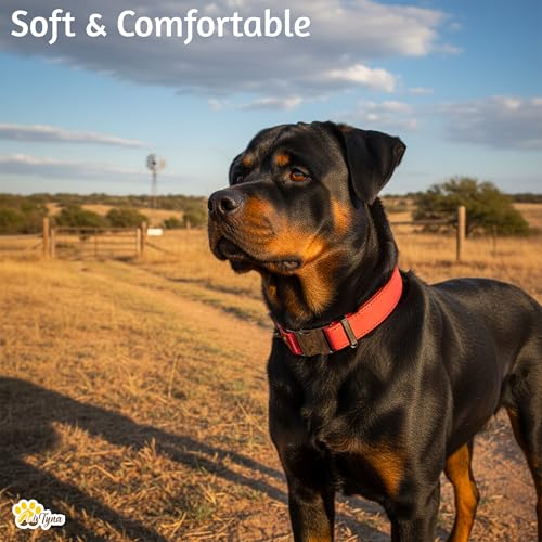 Image of ADITYNA Leather Dog Collar for Large & Extra Large Dogs, Adjustable 19-30 inch | Padded, heavy-duty metal buckle. Great for walking, training - ideal for Rottweiler, German Shepherd, Golden Retriever.