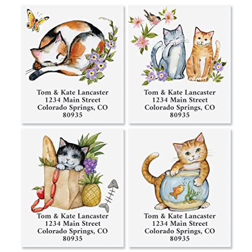 Colorful Images Curious Kittens Return Address Mailing Labels, Personalize with Name & Addresses, Set of 144 Self Adhesive, Easy Peel Flat Label Sheets, 1½” x 1¾”, 8 Designs