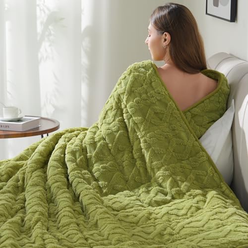 Image of Drewin Weighted Blanket Twin Size 15 lbs, Cozy Jacquard Sherpa Weighted Blankets for Adults for Winter, Comfortable Sofa Bed Blanket for Sleeping Natural and Calming, 48 x 72 inches, Grass Green