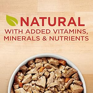 Purina ONE Tender Cuts in Wet Dog Food Gravy Chicken and Brown Rice Entree Pack of 12 13 oz Cans