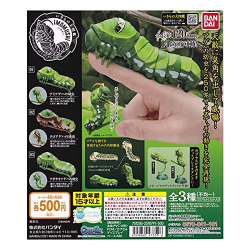 Amazon.co.jp: いきもの大図鑑 いもむし アゲハの幼虫 全3種フル