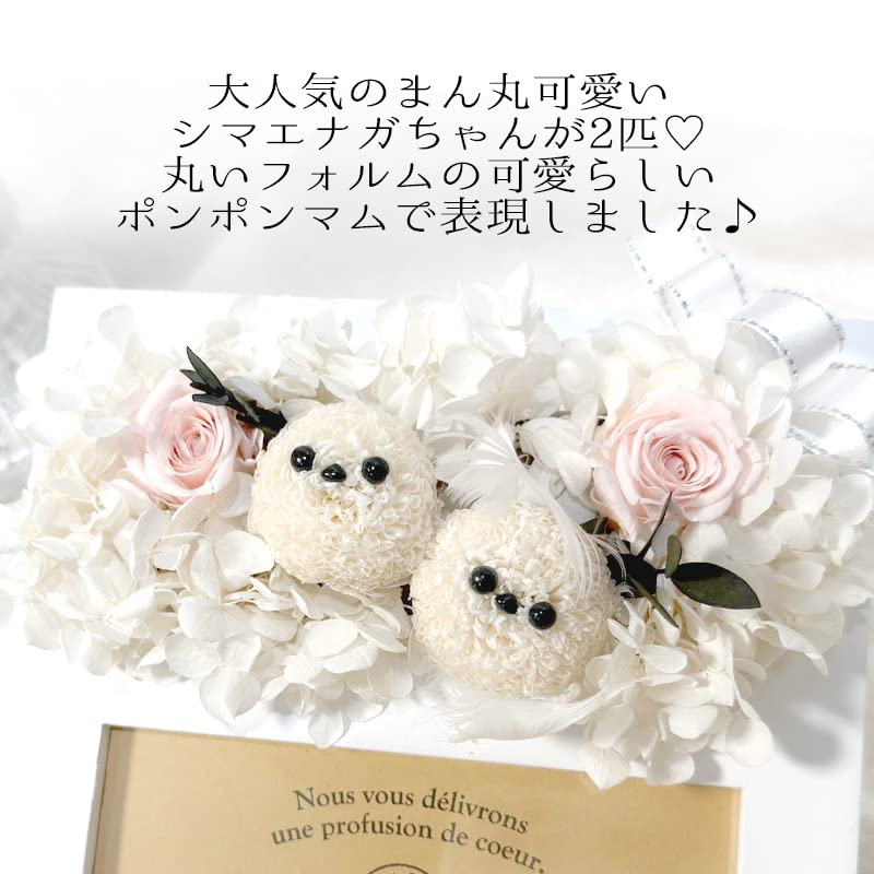Amazon｜Lulu's ルルズ シマエナガのウッドフレーム ホワイト