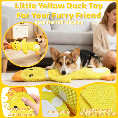 AEWOTING 2 Pack Interactive Dog Toys for Small Dogs,No Stuffing Tug Toy — view 4