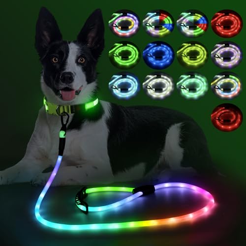 Light Up Dog Leash