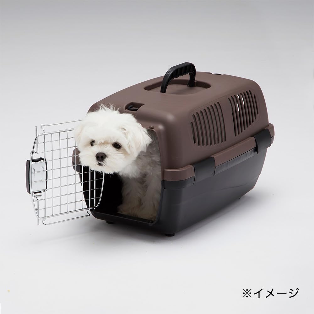 Amazon | カインズ(CAINZ) ハードキャリー S 幅30cm 奥行48cm 高さ29cm