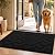 hicorfe Indoor Doormat,Front Back Door Mat TPR Backing Non Slip Mats 20"x31.5" Absorbent Resist Dirt Entrance Doormat Inside Floor for Entryway Washable Low-Profile (Black)