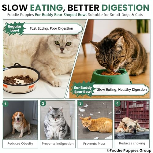 Image of Foodie Puppies Pet Feeding Tilted Cat Bowl - (Ear Buddy Bear Shape) | Durable, Anti Vomiting, Healthy Cat Feeder for Persian Cat Prevent Tipping Over | Bowl for Cats, Kittens & Puppies