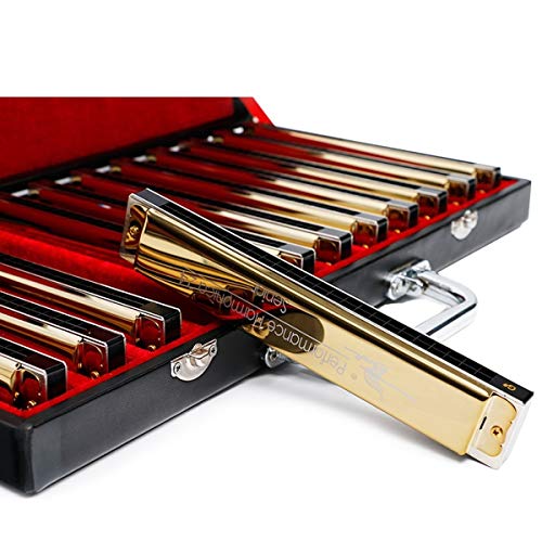 HMYDZ Harmonica Tremolo Harmonica 24 Trous Harmonica de Jeu Professionnel 12 Tons (Or) (Color : Gold) - Les Beatles, Paul McCartney, John Lennon, RIngo Starr, George Harrison HMYDZ Harmonica Tremolo Harmonica 24 Trous Harmonica de Jeu Professionnel 12 Tons (Or) (Color : Gold) – Image 3