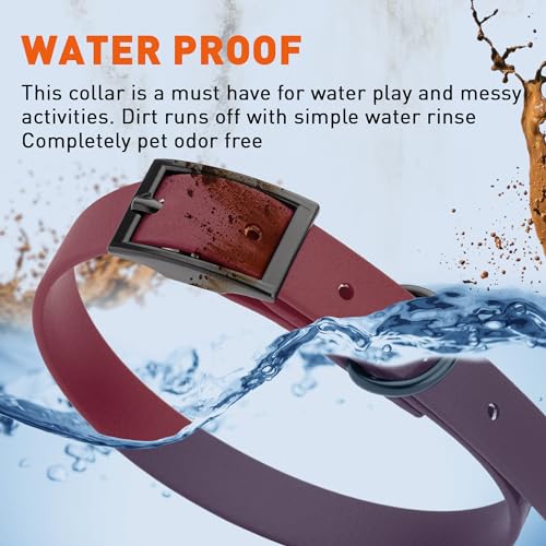 Image of Dogline Biothane Waterproof Dog Collar Strong Coated Nylon Webbing with Black Hardware Odor- Proof for Easy Care Easy to Clean High Performance Fits Small Medium or Large Dogs, Merlot Burgundy