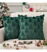 Amazon.com: UGASA Fall Soft Plush Faux Fur Throw Pillow Covers 20x20 ...