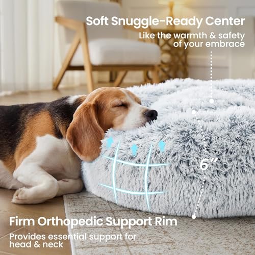 Image of JOLLYVOGUE Small Dog Bed, Calming Dog Beds for Small Dogs & Indoor Cats - 20 Inches Donut Washable Cat Bed for Kittens & Puppies, Round Fluffy Plush Faux Fur Pet Beds(Smoke Grey) (Pack of 2)