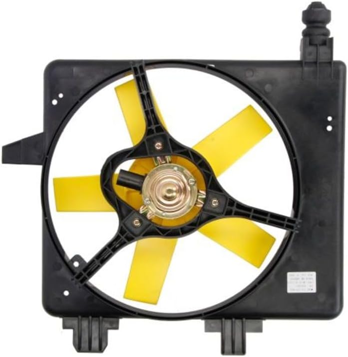 Fan For Fiesta