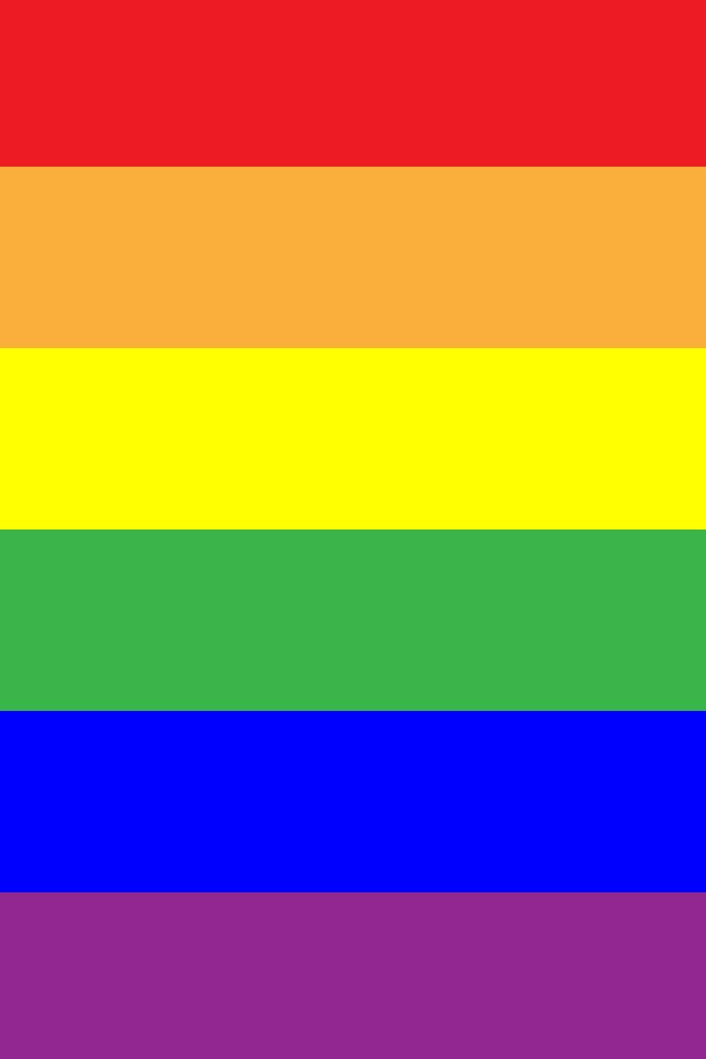 65 MCMLXV LGBT Pride Rainbow Flag Journal: 6x9 Blank Lined Journal Notebook, Personal Diary, Memo Pad, Field Book, Notepad