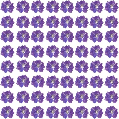 Flores Secas Larkspur Moradas para Manualidades, 60 Piezas miniatura 1