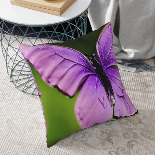 Coussin velours côtelé 50x50 papillon : protège et sublime le canapé