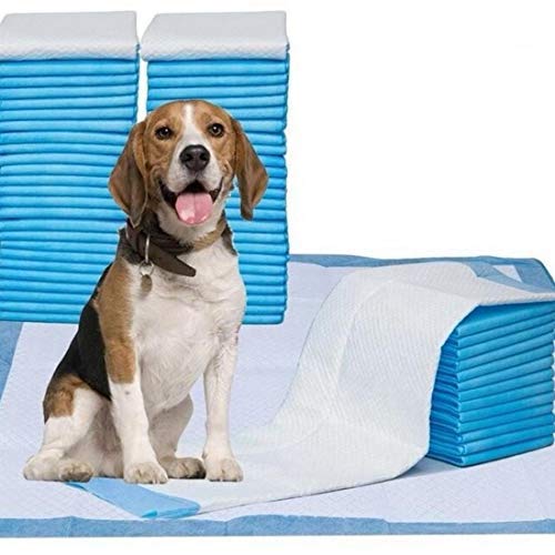 Woofy Puppy Pee Pads for Dogs,Pet and Puppy Training Pads,Water Proof Dog Pee pad (25 pcs, (60 X 45 cm Medium)), blue (B09D8YGZG3) Amazon Price History, Amazon Price Tracker