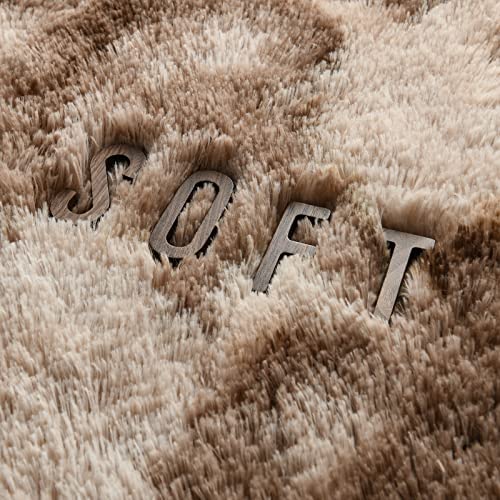 Hutha 4X6 Large Area Rugs For Living Room, Super Soft Fluffy Modern Bedroom Rug, Tie-Dyed Brown Indoor Shag Fuzzy Carpets For Girls Kids Nursery Room Home Decor #TOP6