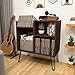 iyrany Record Player Stand, Turntable Stand with Record Storage, Vinyl Record Storage Cabinet with Metal Legs, Record Player Table Holds Up to 250 Albums for Living Room, Bedroom, Office, et