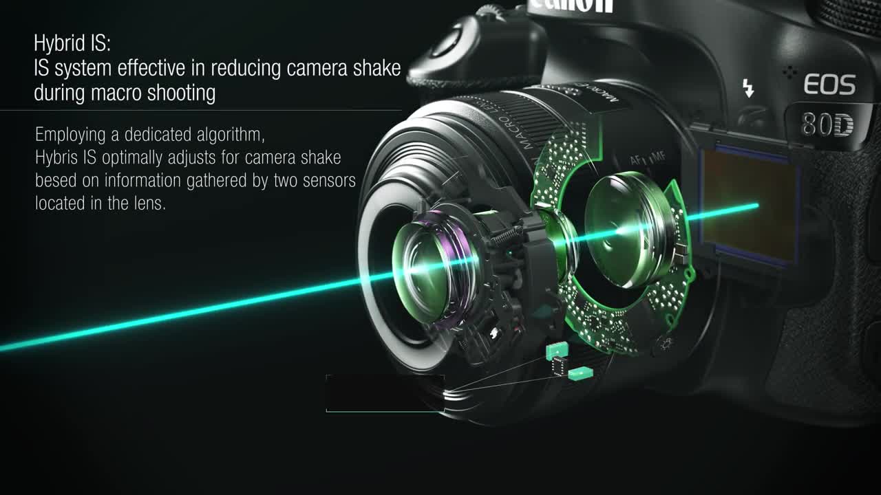 Canon EF-S 35 mm f/2.8 Macro IS STM Camera Lens - Black: Amazon.co