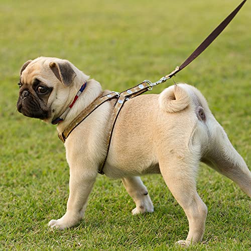 Mandala Crafts Metal D Ring Assortment - Heavy Duty D-Ring Bulk Pack - Silver Non Welded D Rings For Purse Sewing Crafts Cat Dog Collar Bag Belt Keychain Webbing Strap 50 Pcs 4.5Mm Thick 1 Inch Wide #TOP6