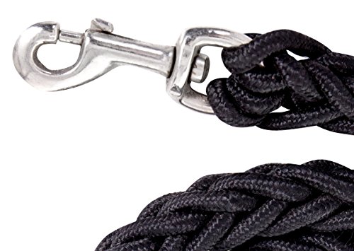 Extrem Starke Hundeleine für große Hunde 2 cm dick 120 cm lang sehr belastbar mit Karabiner, aus Nylon, geflochten robust und wetterfest (schwarz)