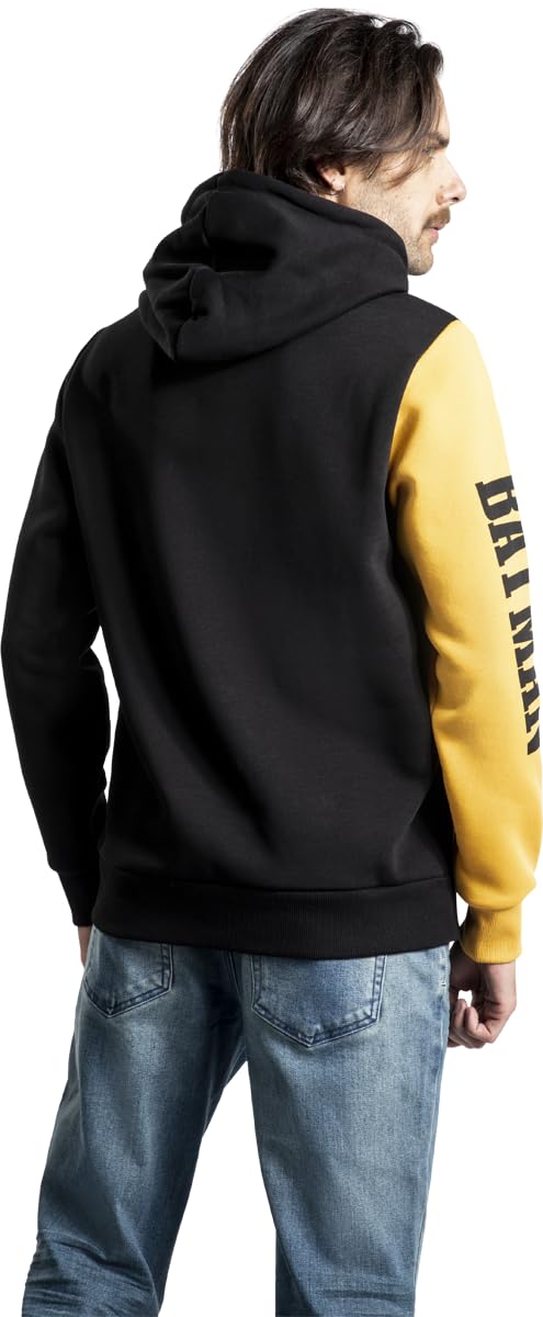 BATMAN The Bat Logo Männer Kapuzenpullover Multicolor