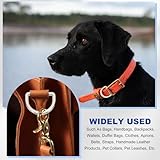 PATIKIL Metal D Ring, 10Pcs 25mm Flat Metal D Buckle Solid Dee Rings 17mm for Bags Backpack Wallets Leather Straps Webbing Pet Collars Hardware Assorted, Gold - Image 6