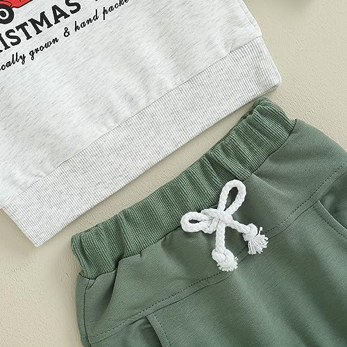 Sasaerucure Roupas infantis para bebês meninos de Halloween, camisas de manga comprida, moletom de a