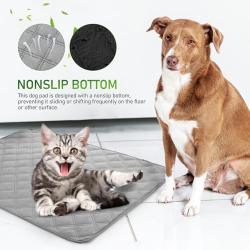 Image of Partykindom Washable Dog Pee Pads Reusable Absorbent Puppy Training Pads with Non Slip Bottom and Soft Plush Surface for Home Floor Crate and Car Use 23.62X17.71 Inches, 2 PCS