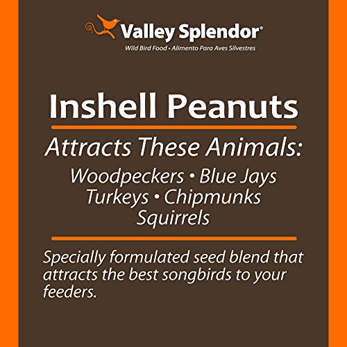 Red River Commodities 347 Peanuts In A Shell 3Lbs. #TOP2