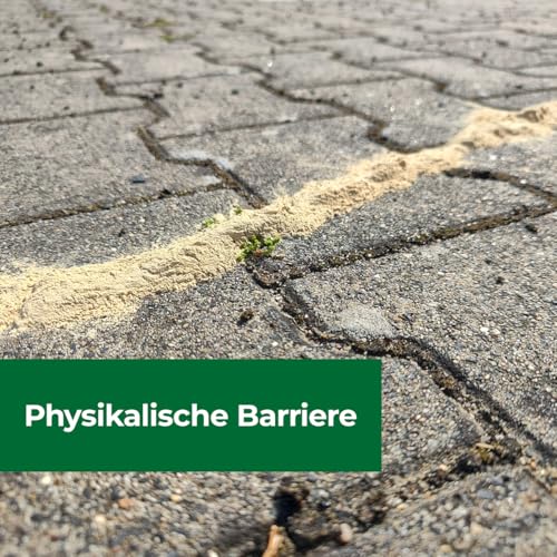 PROTECT HOME Ameisen & Milben Blocker, insektizidfreies, natürliches Ameisenmittel gegen Ameisen auf Wegen, Plätzen, Terrassen, in Beeten oder im Rasen, 200 g Dose