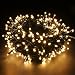 PMS LED String Lights on Dark Green Cable with 8 Light Effects, 338Ft 1000 LED Warm White Low Voltage Christmas Lights. Ideal for Indoor Decoration, Christmas, Party, Wedding, etc.